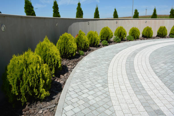 Best Driveway Paving Company  in Lennox, CA